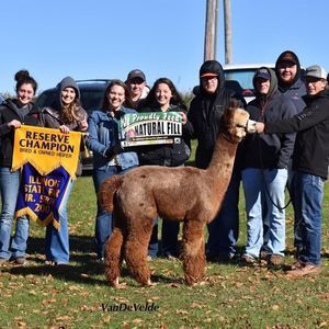 Meet your Posher, Mason